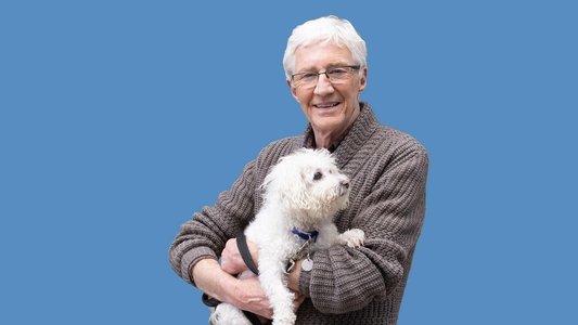 For the Love of Dogs