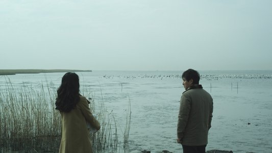 콘돌은 날아간다