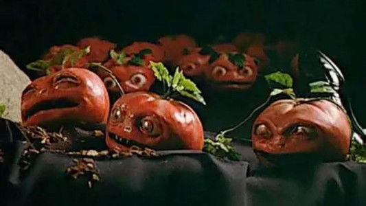Killer Tomatoes Strike Back!