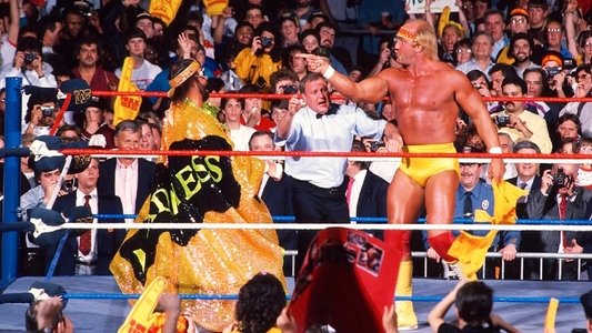 WWE WrestleMania V