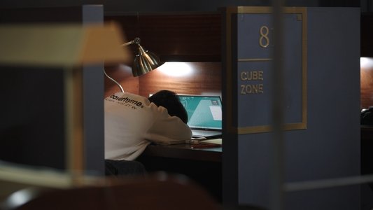 The Happy Worker - Or How Work Was Sabotaged