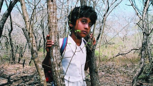 සුළඟ එනු පිණිස