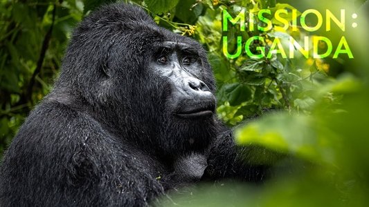 Mission: Uganda