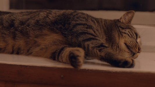 Kater