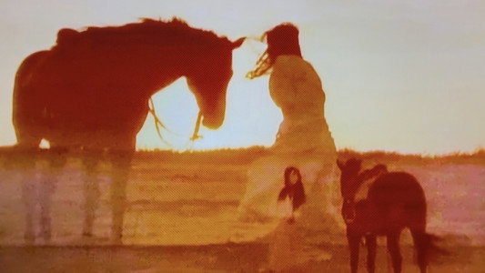 馬と女と犬