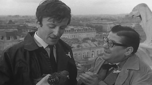 Les Compagnons de la Marguerite