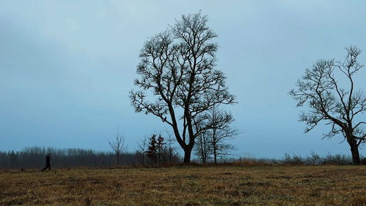 Vecgada vakara slaktiņš 2