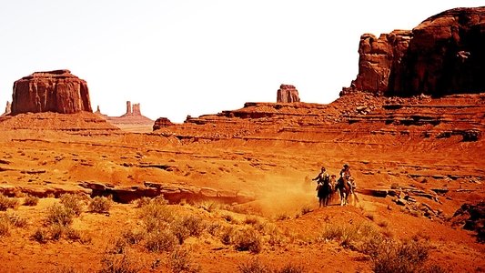 The Searchers