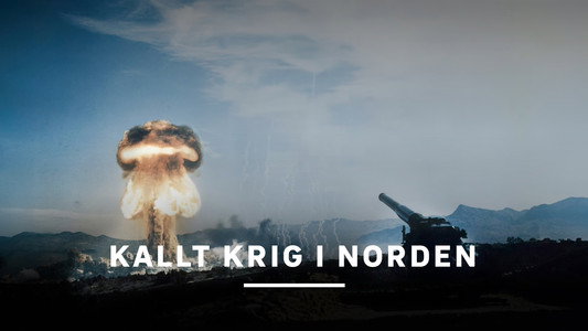Vaietut arktiset sodat