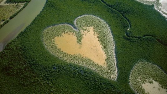 Nature : pour une réconciliation