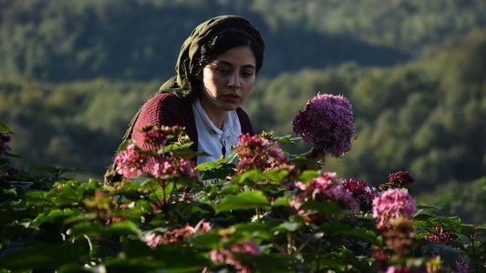شیطان وجود ندارد