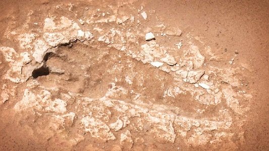 First Footprints