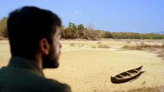 പൂമരം