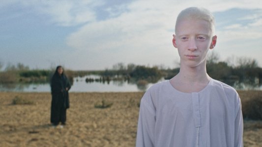 ضي (سيرة أهل الضي)