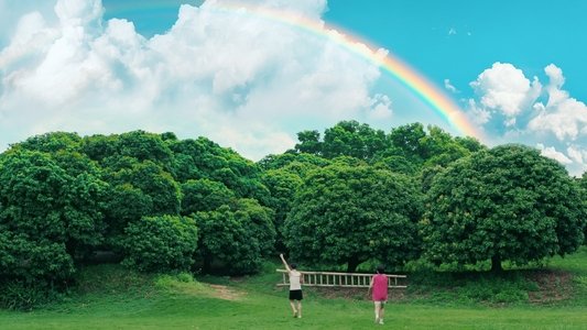 荔枝树下热烈岛