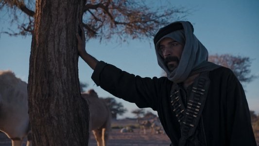 القيد