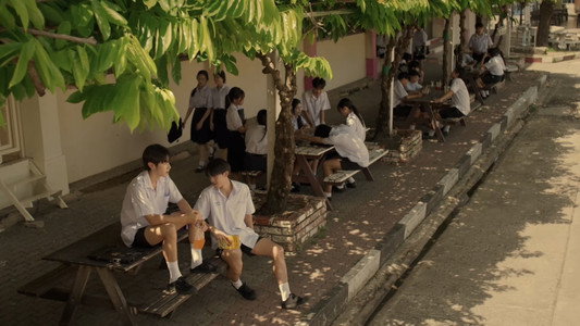ต้นส้มอยู่บ้านเขา แต่ผลส้มหล่นมาบ้านเราตลอดเลย