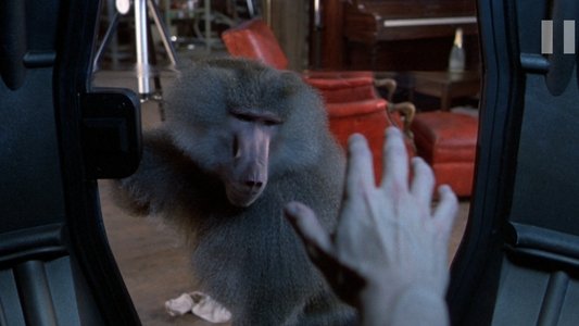 The Fly