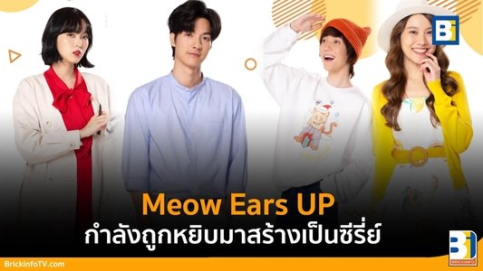 น้องเหมียว ในห้องผม
