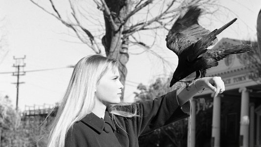 Peyton Place