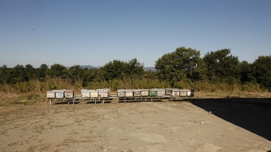 Le meraviglie