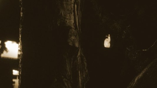 Silent Trespasser