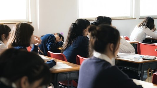 貓之報恩