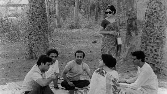 অরণ্যের দিনরাত্রি