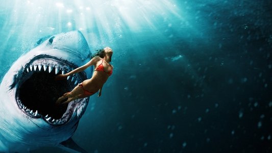 Shark Bait