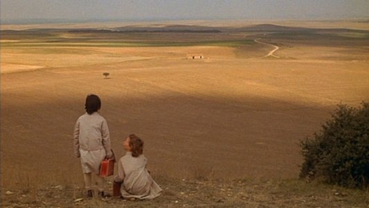 El espíritu de la colmena