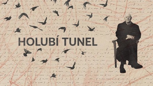 The Pigeon Tunnel