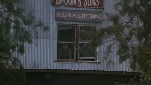 Slaughterhouse