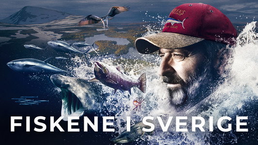 Fiskarnas rike