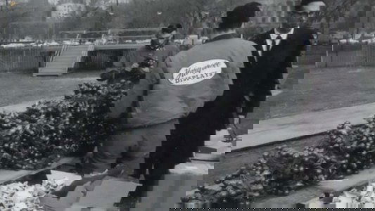 The National Christmas Tree, A Century of Celebration