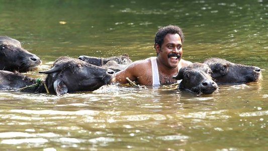 ചാലക്കുടിക്കാരൻ ചങ്ങാതി