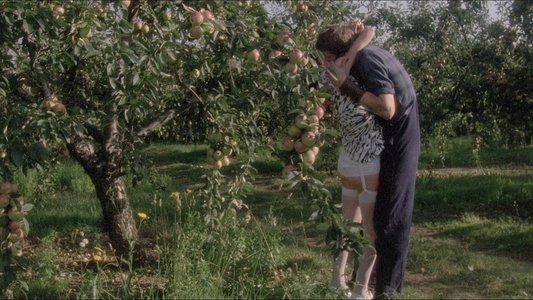 The Orchard End Murder