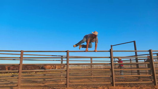 Ray Martin: Mysteries Of The Outback