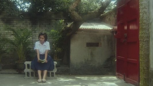 光陰的故事