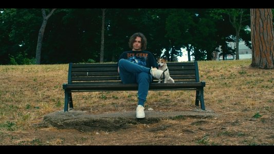 Abbaiare non è soltanto una cosa da cani.