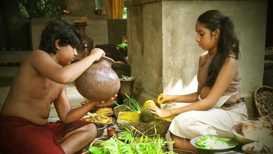 අලි කතාව