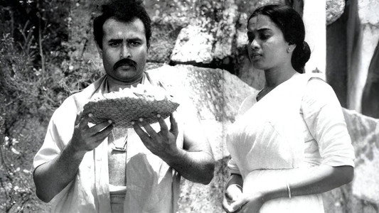 නිධානය