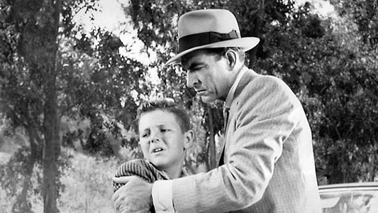 Johnny Rocco