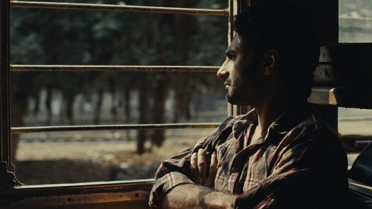 جوائے لینڈ