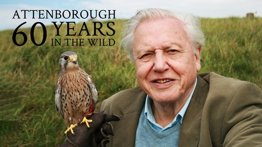 Attenborough: 60 Years in the Wild