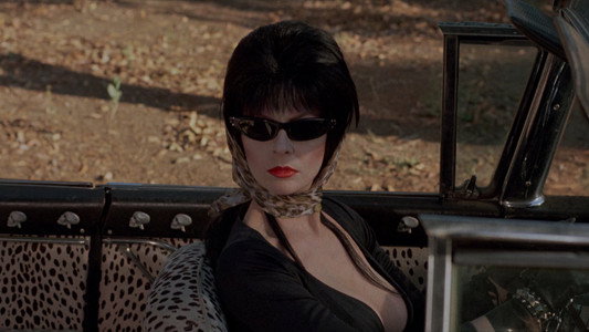 Elvira: Mistress of the Dark