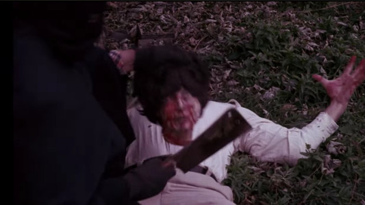 The Degenerate: The Life and Films of Andy Milligan