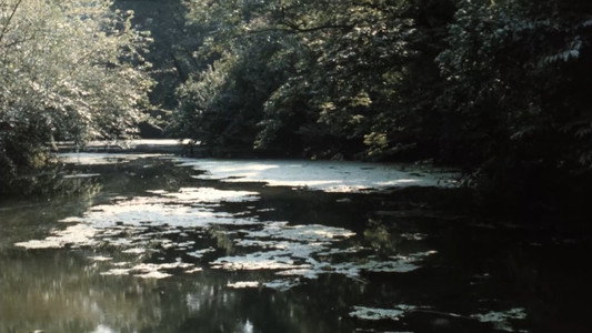 Nostos: il ritorno