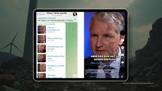Die TikTok-Armee der AfD
