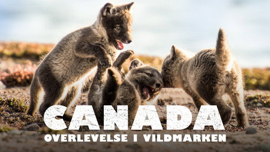 Canada: Surviving the Wild North