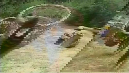 Белото циганче